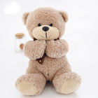 OEM Custom Teddy Bear Plush Toys