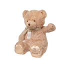 100% PP Cotton 35cm Beautiful Teddy Bear Dolls Teddy Bear Pillow
