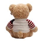 25cm Teddy Bear Plush Toy