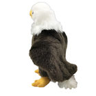 White Headed Eagle Stuffed Plush Toys 100% Pp Cotton 30cm Or Customized