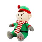 Electric Embroidery Cartoon Boy Plush Christmas Gift Toy