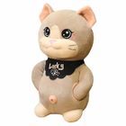 OEM Skin Friendly 20cm Children'S Cute Cat Plush Toy