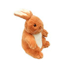 18cm Electric Rabbit Plush Toy With Record Function