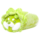 ASTM Standard Plush Vegetable Pig / Vegetable Dog Toys