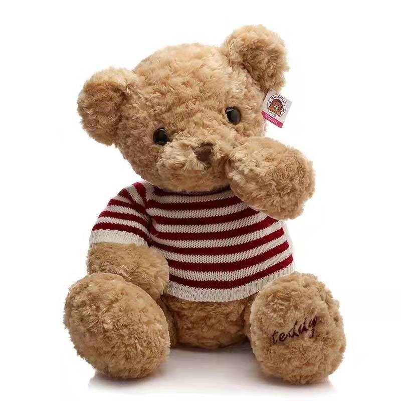 25cm Teddy Bear Plush Toy